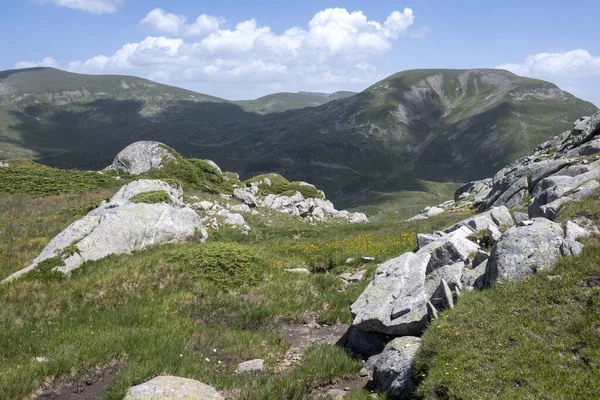 Bulgaristan 'ın Kalin zirvesi yakınlarındaki Rila Dağı' nın İnanılmaz Yaz Manzarası