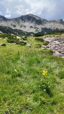 Bulgaristan 'ın Kurbağa Gölü etrafındaki Pirin Dağı' nın şaşırtıcı yaz manzarası
