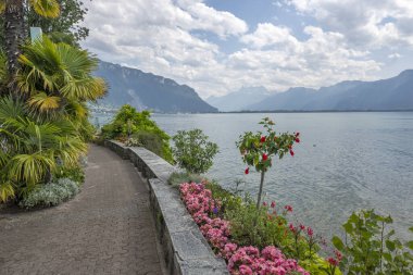 Montreux şehrinin yaz panoraması, Vaud Kantonu, İsviçre