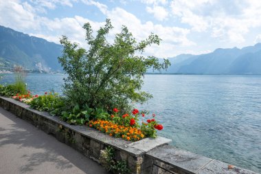 Montreux şehrinin yaz panoraması, Vaud Kantonu, İsviçre