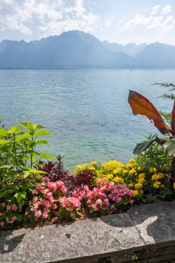Montreux şehrinin yaz panoraması, Vaud Kantonu, İsviçre