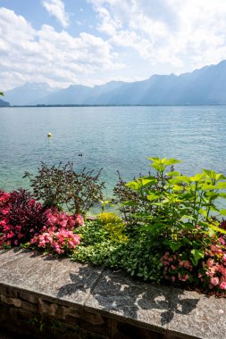 Montreux şehrinin yaz panoraması, Vaud Kantonu, İsviçre