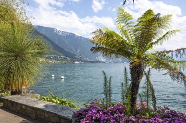Montreux şehrinin yaz panoraması, Vaud Kantonu, İsviçre