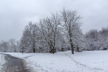 Bulgaristan 'ın Sofya kentindeki South Park' ın şaşırtıcı kış manzarası