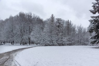 Bulgaristan 'ın Sofya kentindeki South Park' ın şaşırtıcı kış manzarası