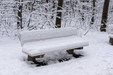 Bulgaristan 'ın Sofya kentindeki South Park' ın şaşırtıcı kış manzarası