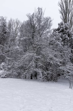 Bulgaristan 'ın Sofya kentindeki South Park' ın şaşırtıcı kış manzarası