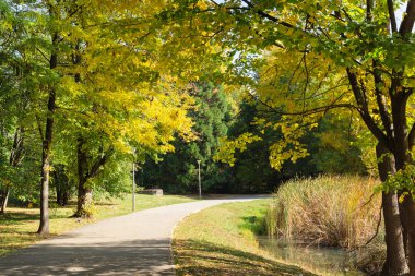 Bulgaristan 'ın Sofya kentindeki South Park' ın Muhteşem Sonbahar Manzarası