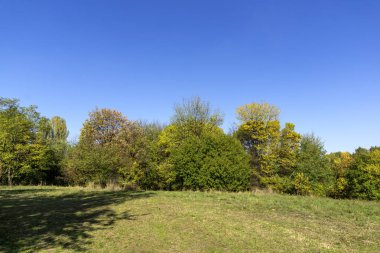 Bulgaristan 'ın Sofya kentindeki South Park' ın Muhteşem Sonbahar Manzarası