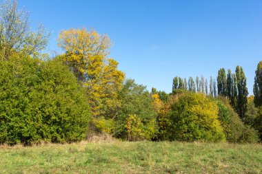 Bulgaristan 'ın Sofya kentindeki South Park' ın Muhteşem Sonbahar Manzarası