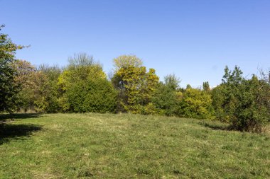 Bulgaristan 'ın Sofya kentindeki South Park' ın Muhteşem Sonbahar Manzarası