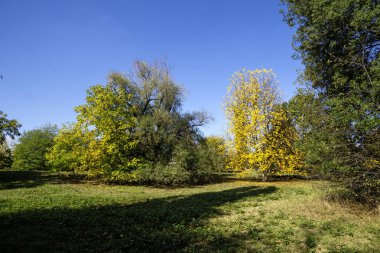 Bulgaristan 'ın Sofya kentindeki South Park' ın Muhteşem Sonbahar Manzarası