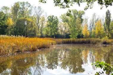 Bulgaristan 'ın Sofya kentindeki South Park' ın Muhteşem Sonbahar Manzarası