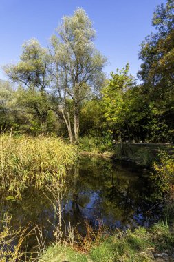 Bulgaristan 'ın Sofya kentindeki South Park' ın Muhteşem Sonbahar Manzarası