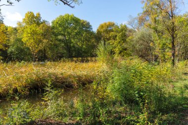 Bulgaristan 'ın Sofya kentindeki South Park' ın Muhteşem Sonbahar Manzarası