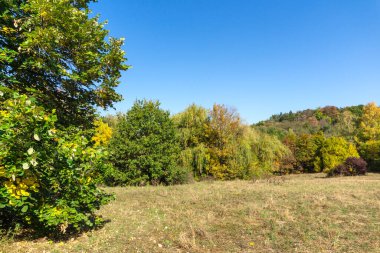 Bulgaristan 'ın Sofya kentindeki South Park' ın Muhteşem Sonbahar Manzarası