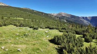 Bulgaristan 'ın Granchar Gölü yakınlarındaki Rila Dağı' nın İnanılmaz Yaz Manzarası