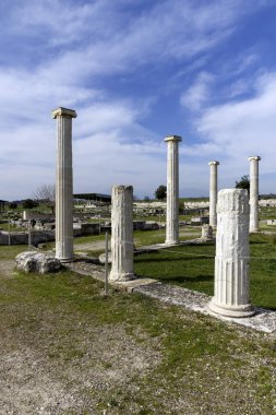 Pella Harabeleri - Antik Makedon İmparatorluğu 'nun başkenti, Orta Makedonya, Yunanistan