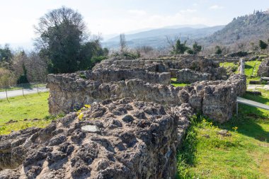Antik Edessa Harabeleri Longo, Orta Makedonya ve Yunanistan Arkeoloji Alanında