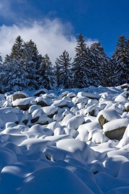 Bulgaristan 'ın Sofya Şehir Bölgesi, Vitosha Dağı' nın İnanılmaz Kış manzarası