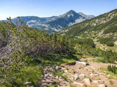 Bulgaristan 'ın Banski Gölleri yakınlarındaki Pirin Dağı' nın İnanılmaz Yaz manzarası