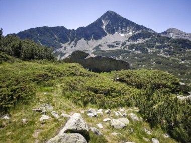 Bulgaristan 'ın Banski Gölleri yakınlarındaki Pirin Dağı' nın İnanılmaz Yaz manzarası