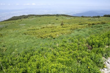 Bulgaristan 'ın Vitosha Dağı' nın İnanılmaz Bahar Manzarası