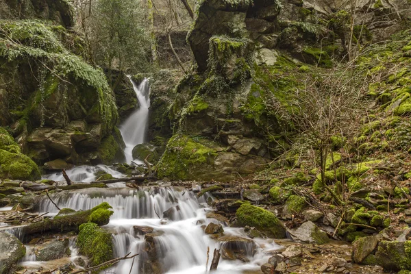 La bella cascata Leshnishki nella foresta profonda, Belasitsa Mountain — Foto Stock
