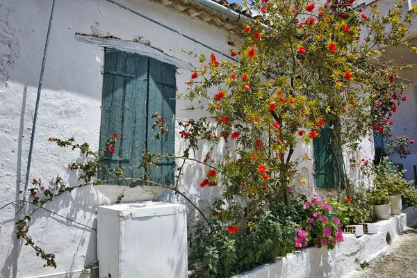 Finestra della casa medievale con fiori, isola di Zante — Foto Stock