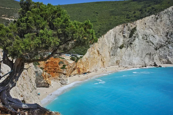 Árvore sobre Porto Katsiki Beach, Lefkada, Ilhas Jónicas — Fotografia de Stock