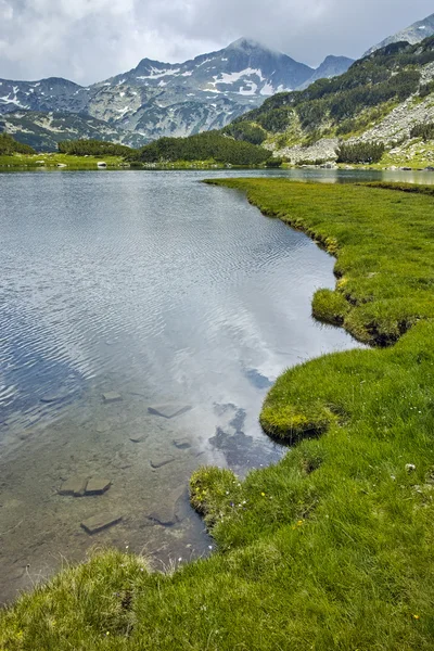 Zöld rétek, a Muratovo-tó, a Pirin-hegység — Stock Fotó