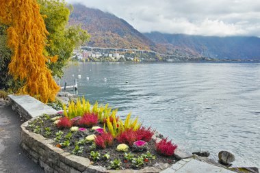Vaud, Cenevre Gölü ve Alpler, Montereux, Kanton'un panoramik görünüm