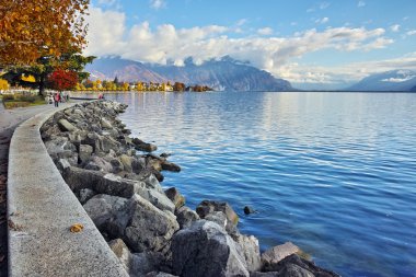 setin Vevey kasaba ve Cenevre Gölü sonbahar ağacında