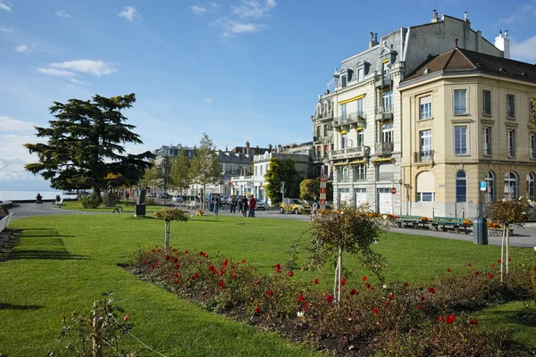 Jardín con rosas en la ciudad de Vevey, cantón de Vaud — Foto de Stock