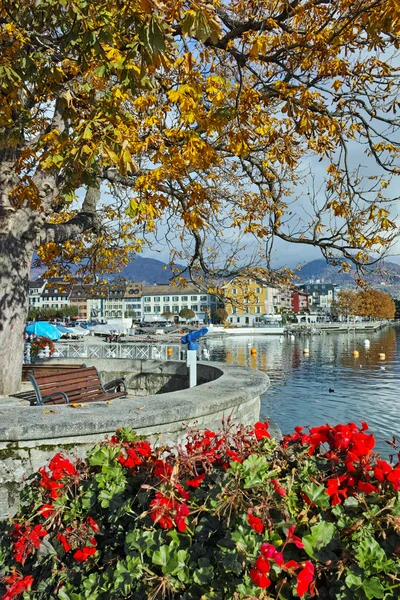 Árbol amarillo de otoño en el terraplén de la ciudad de Vevey y el lago de Ginebra — Foto de Stock