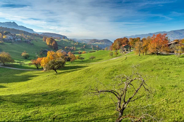 典型的瑞士村庄附近小镇因特拉肯的秋天风景 — 图库照片