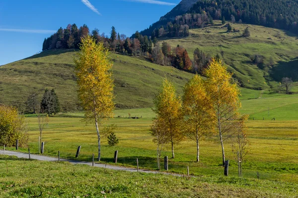 リギ山と秋の風景、アルプス — ストック写真