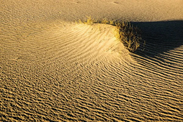 Areias esculpidas e escova do deserto — Fotografia de Stock