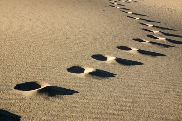 Fußabdrücke über Sanddünen — Stockfoto