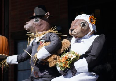 Hikaye kitabı fareler korkulukları