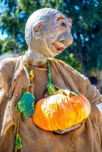 Scarey Scarecrow — Stockfoto