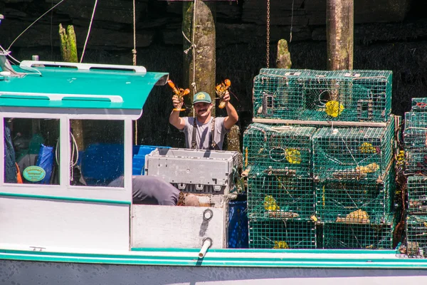 Catch of the Day — Stock Photo, Image