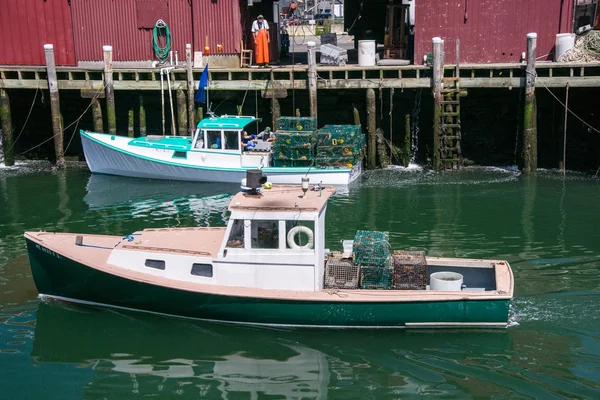 The Daily Lobster Catch Arrives — Stock Photo, Image