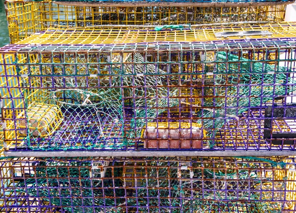 Pièges à homard colorés — Photo