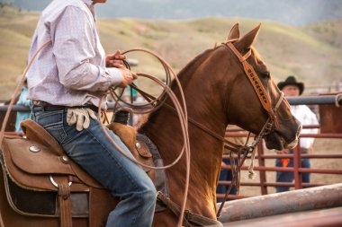 Rodeo Wrangler
