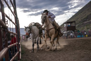 Binicisiz Bucking Bronco