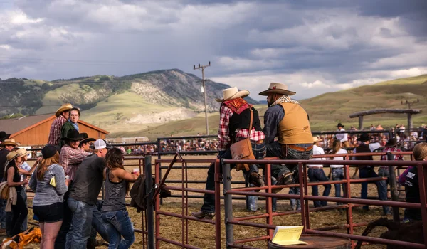 Montana fãs de rodeio — Fotografia de Stock