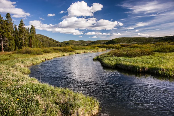 Trout Hideaway — Stock Photo, Image