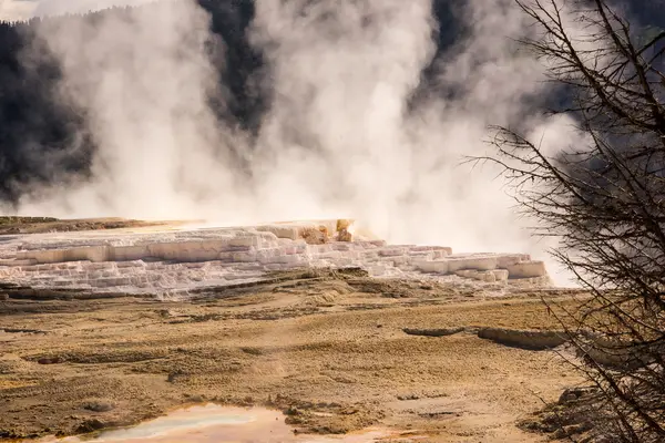 Terasz Mammoth Hot Springs — Stock Fotó