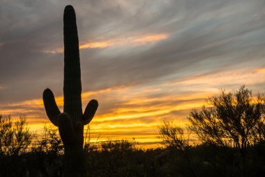 İkonik Arizona günbatımı bir